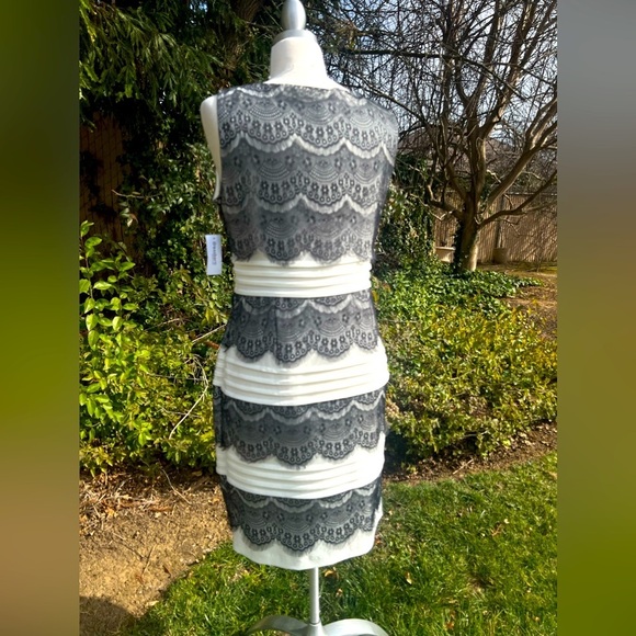 Elegant Lace Dress (dress barn ) - Picture 6 of 7